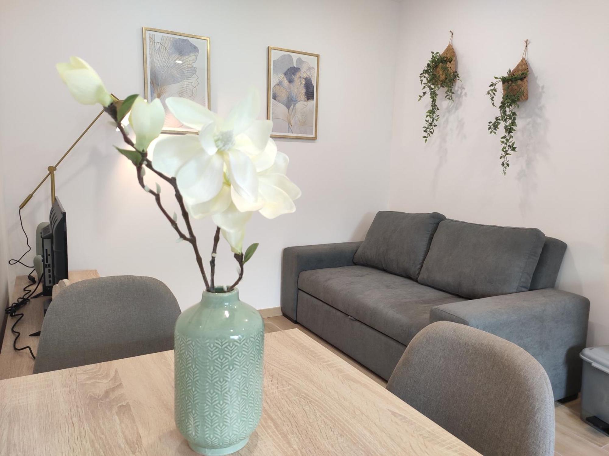Ria House Apartment